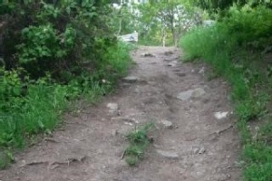 An image of the existing steep footpath