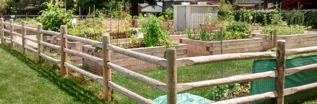 community gardens exist all over Toronto