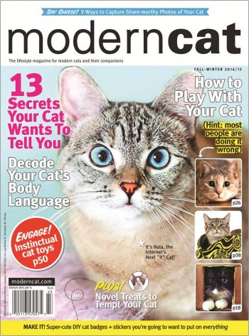 image of modern cat magazine cover