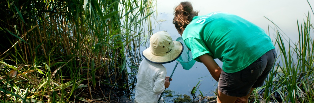 camp; recreation; programming; eco programming; high park;