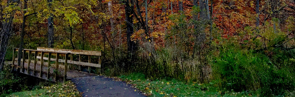 A bridge surrounded by autumn trees