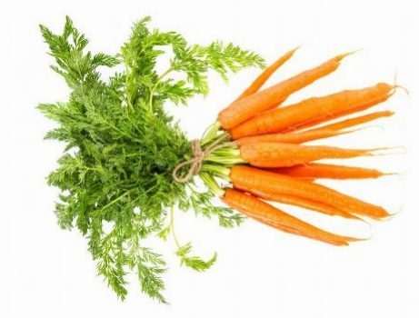 A bunch of carrots with green stems attached.