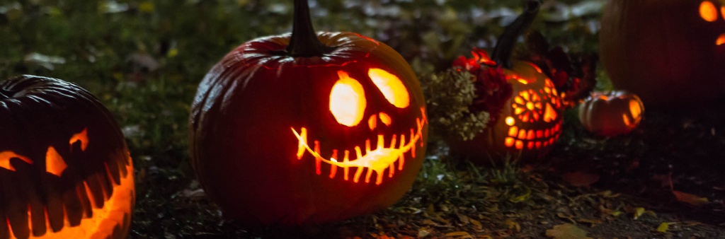 Brightly lit jack o lanterns displayed as part of the Pumpkin Parade in Sorauren Park