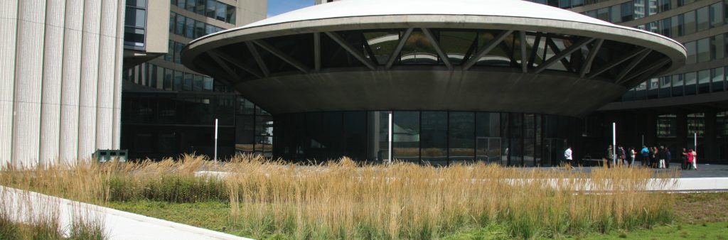 green roof at Toronto City Hall