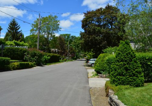 This is a photograph showing the streetscape view of Bridgeview Road