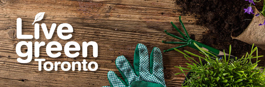 Seasonal banner, Spring 2018. Live Green Toronto logo on a table with a gardening glove, soil, plant pot, and plants.