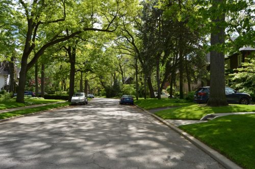 This is a photograph showing the streetscape view of Baby Point Crescent