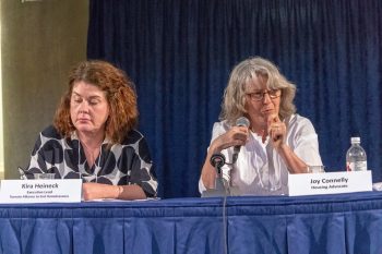 Kira Heineck & Joy Connelly participating in panel