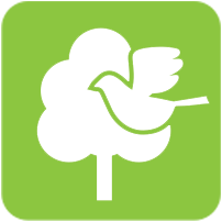 Toronto Green Standard Ecology Icon