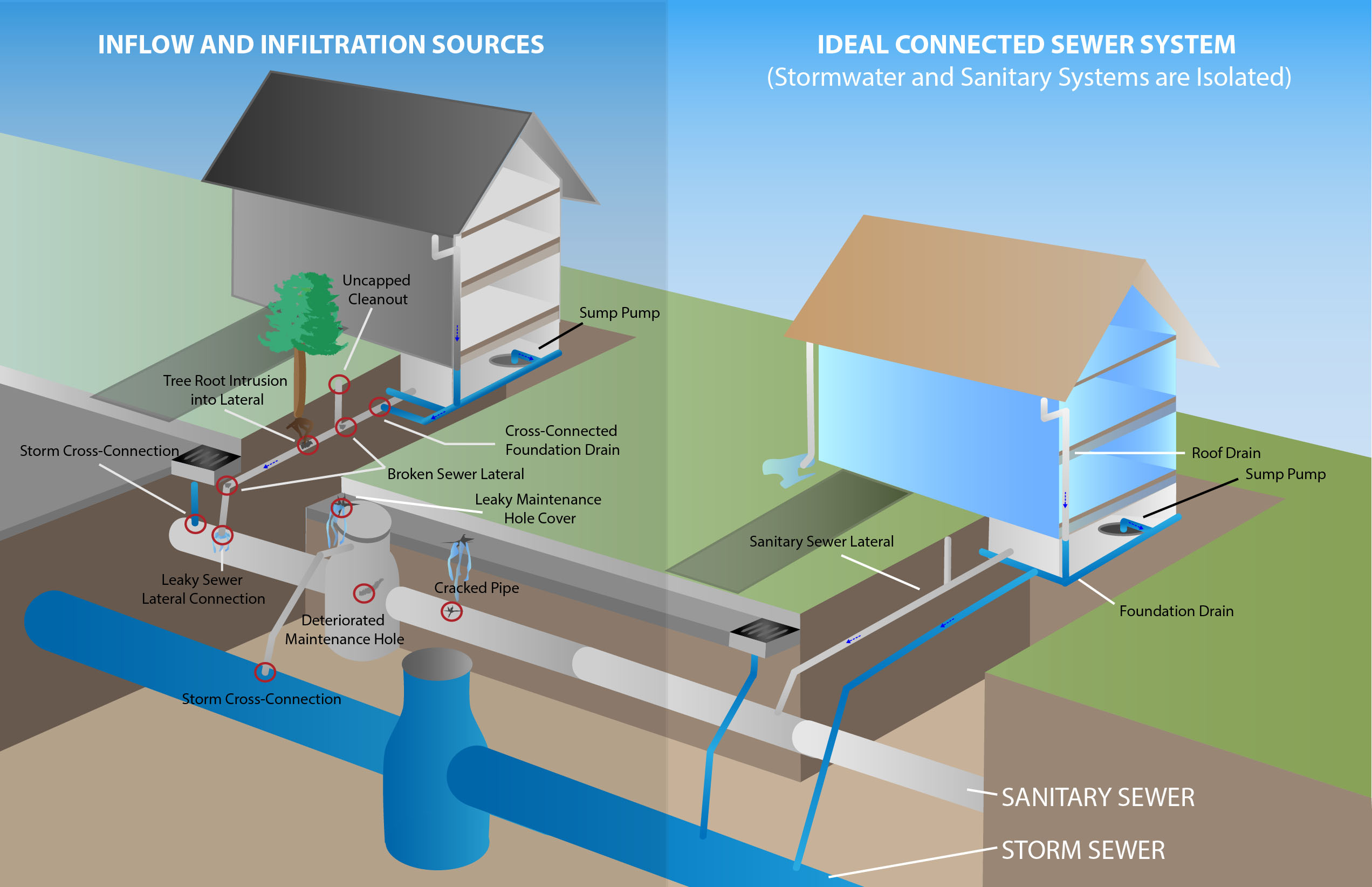 Image describes two processes: 1. Inflow and infiltration sources. This starts at an uncapped cleanout, to the tree root intrusion, then storm cross section, to leaky sewers and cracked pipes. This then infiltrates. Second, the diagram shows the ideal connected sewer system, where stormwater and sanitary systems are isolated. There is a roof drain, sump pump, and foundation drain all into sewer systems that are not cracked. 