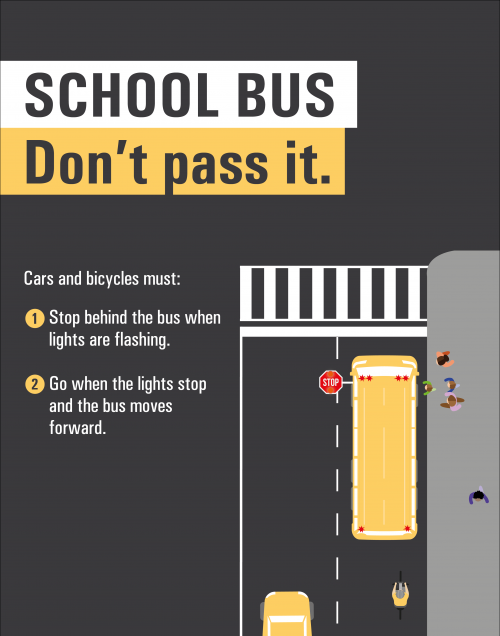 School Bus: Don't pass it. Cars and bicycles must: Stop behind the bus when lights are flashing. Go when the lights stop and the bus moves forward.