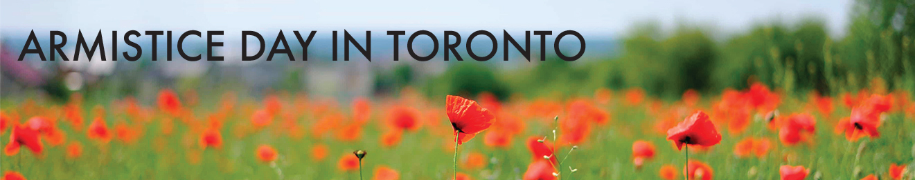 Armistice Day in Toronto web exhibit title banner, displaying a field of poppies