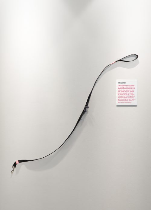 A tattered dog leash is mounted on the wall like an exhibit in an art gallery.