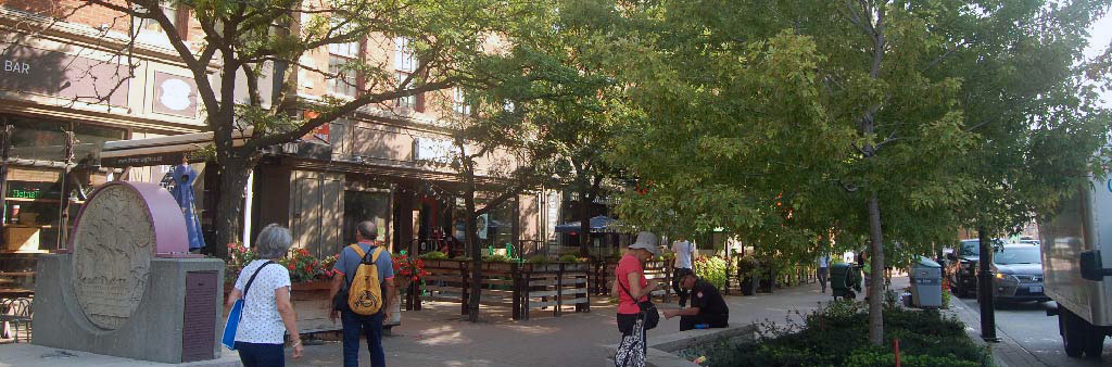 People on a wide sidewalk with benches and mature trees.