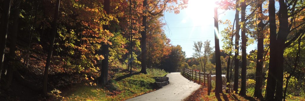 South facing view of paved trail along the Etobicoke Creek North Trail. This trail connects Eglinton Ave West to Cenntenial Park Blvd along the Etobicoke Creek.