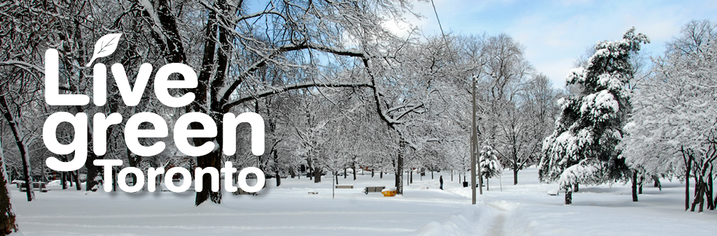 Live Green Toronto winter park scene.