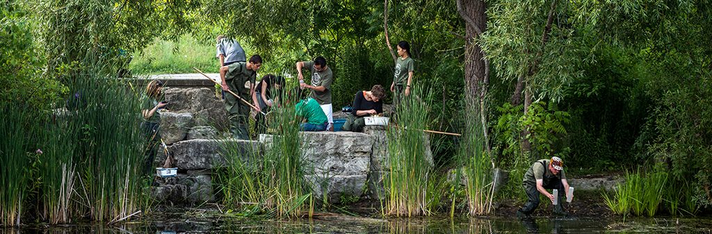 A group of people care for their local park during a sunny day