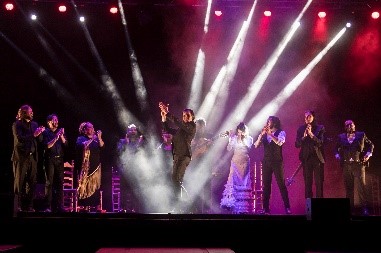 Photo info: A scene from Farruquito. Performers on stage, white spotlights, pink back lights.