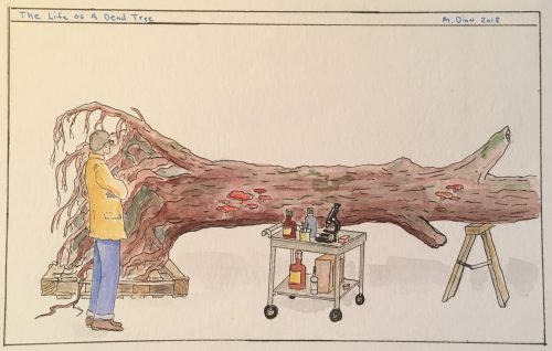 Photo info: The Life of a Dead Tree, by: Mark Dion. Artwork - man with bar cart and fallen tree