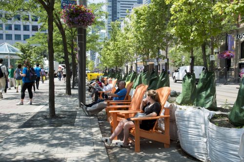 Row of trees beside people with chairs