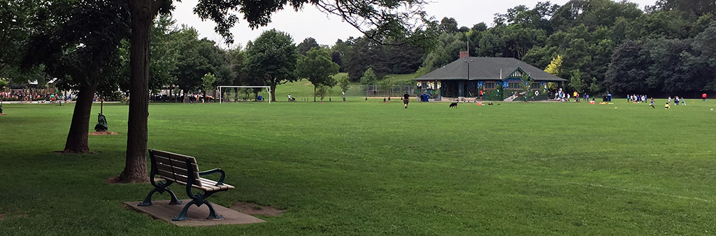 A picture of the park in 2019, with a bench in the foreground and people playing soccer in the background