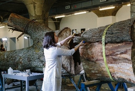 Woman in lab coat using mallet and chisel on dead tee.
