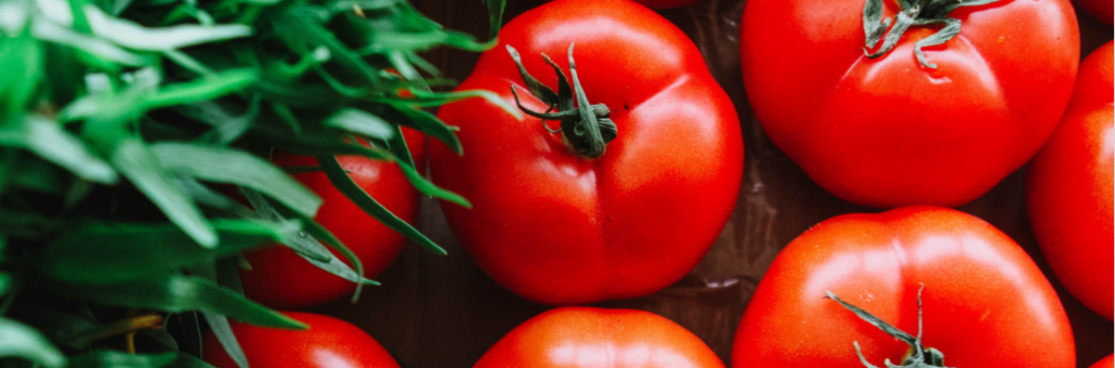 Fresh red tomatoes