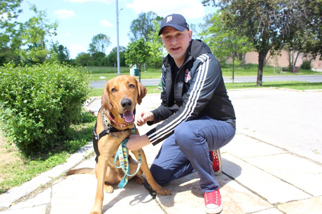 Adopt a Pet – City of Toronto Adopt a Pet – City of Toronto