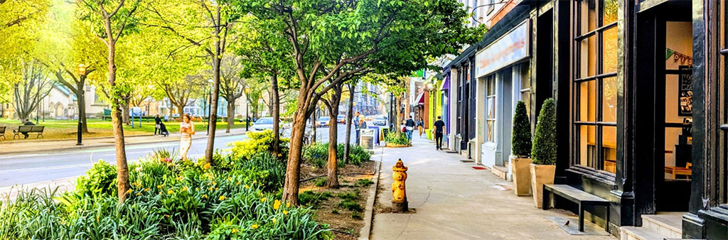 A typical retail oriented main street is shown with trees and shrubs in a short planter on the sidewalk in front of the retail units.