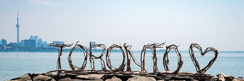 Driftwood sculpture spelling the word Toronto, with the Toronto skyline in the background