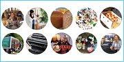 circles with images from each of the case studies
