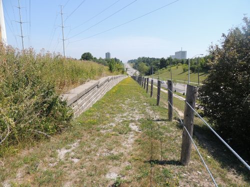 A grassy section of land separated from the road by a post fence