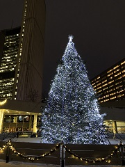 City Hall Christmas tree at Nathan Phillips Square