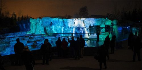 Blue projections onto rock formation at the Toronto Zoo. At night. People in the foreground.