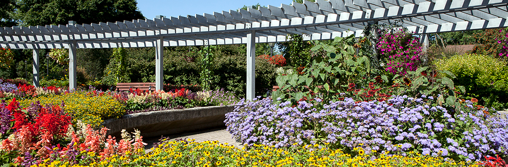 A white arbour surrounded by brightly coloured flowers
