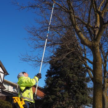 A worker on the ground holds a long tube to a high tree branch