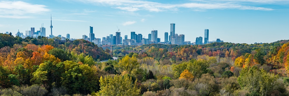 Credit - Matt Forsythe. Autumn colours in the Don Valley Ravine with the City of Toronto landscape in the background.