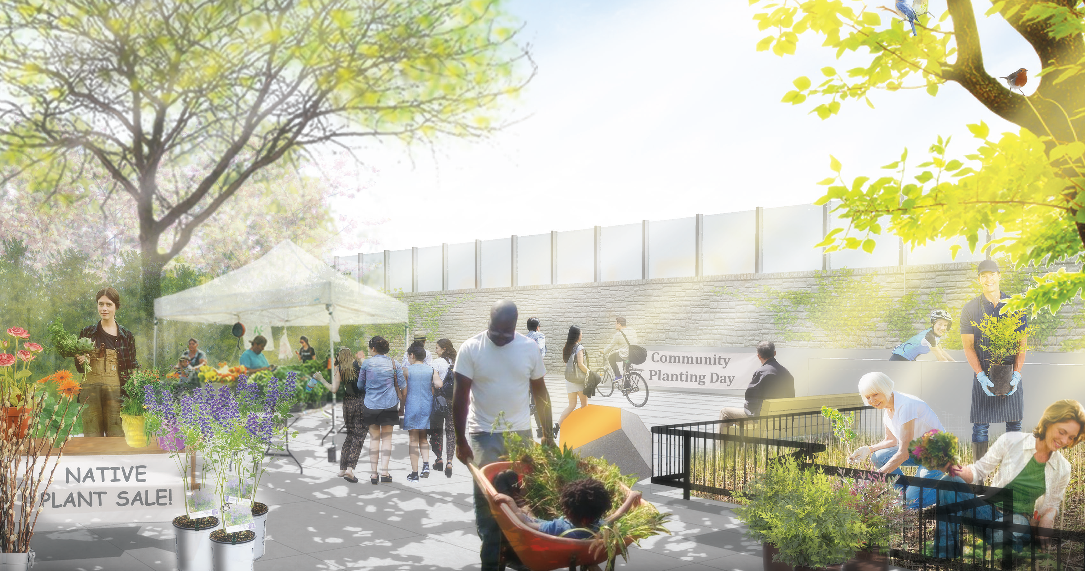 Rendering of the Shirley Street Community Connection Point