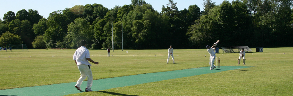 People playing cricket outside on a sunny day.