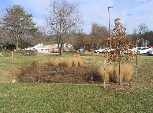 An example of a bioretention unit in the middle of a grassy area