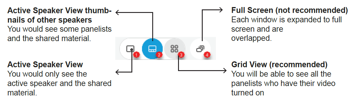 An image of a WebEx window which shows additional functions: active speaker view, thumbnail view, full screen view, and grid view