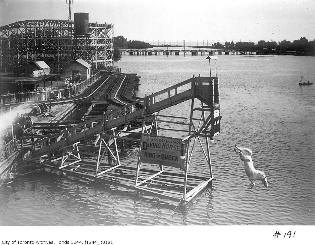 The Diving Horse at Hanlan
