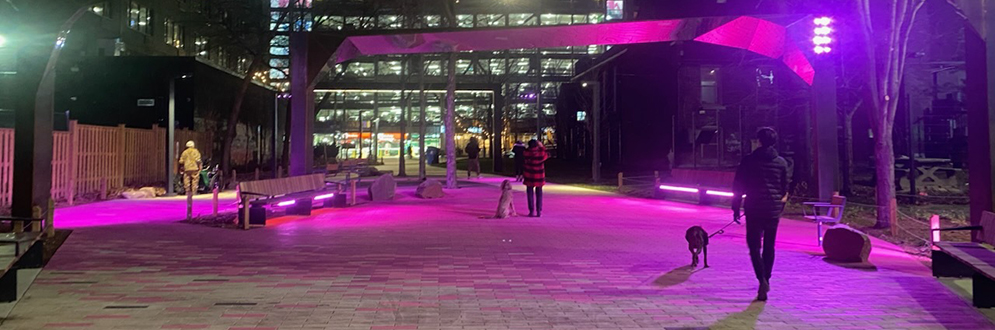 George Hislop Park on a winter night, showing the entrance to a new gathering space called “The Dance” with bold pink paving and pink feature lighting. The mirrored stainless steel undersides of the overhead arches reflect the paving and lighting. Bench seating is placed on the edges. People are walking their dogs on leashes through the plaza.