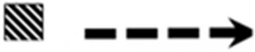 Stage 3 symbol, black dashed line with arrow