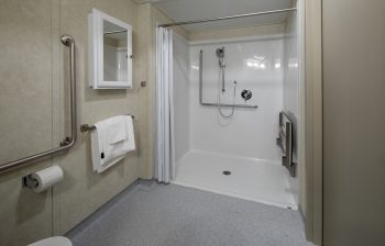 321 Dovercourt Rd. Accessible shower with handrails and mirror 