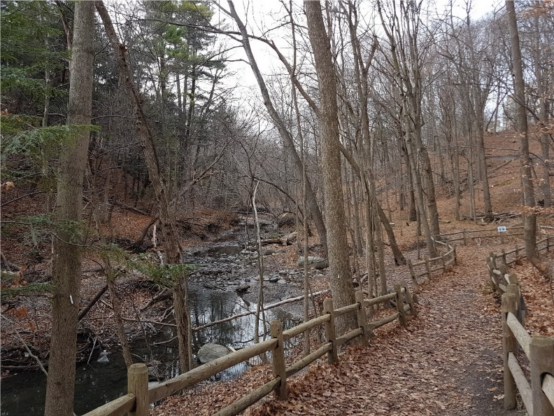 Photo of Burke Brook showing a sanitary sewer that runs to the left of the trail and parallel to the watercourse. The sewer is at risk of exposure.