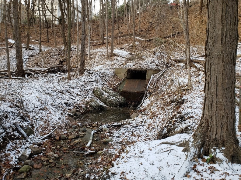 Photo of Burke Brook showing significant downcutting within the drainage feature, which lead to the exposure of sanitary sewer crossing (bottom left corner of photo)