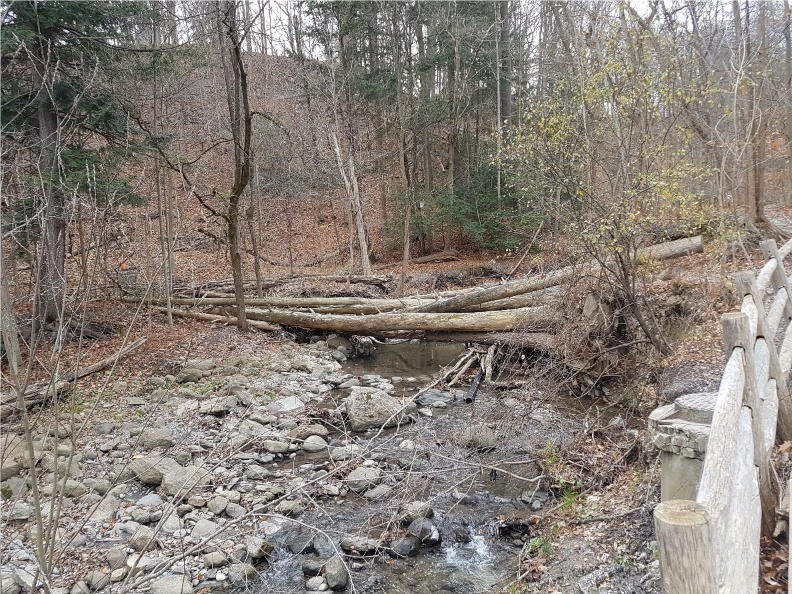 Photo of Burke Brook showing significant bank erosion around a sanitary sewer and a maintenance hole (bottom right corner of photo).