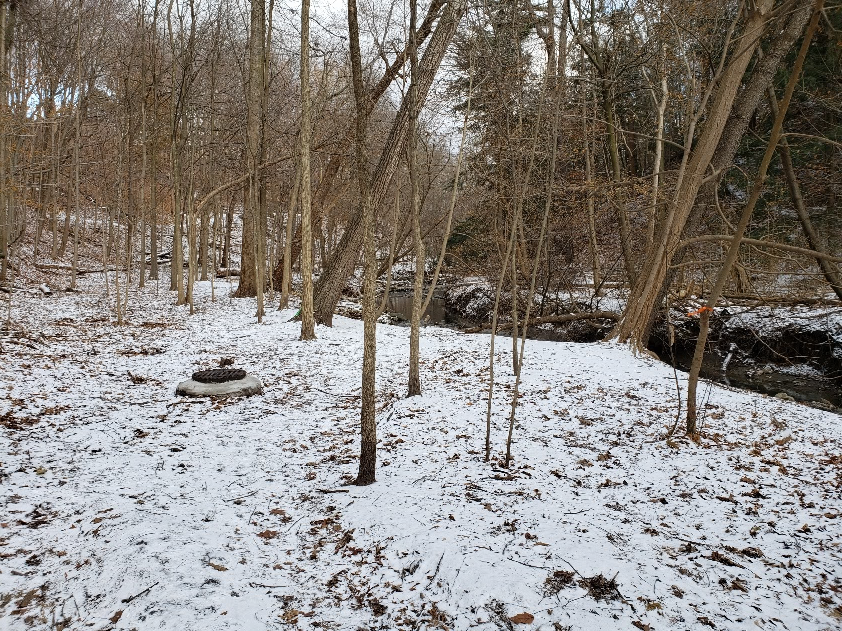 Photo of Burke Brooke showing a sanitary sewer that runs to the left and parallel to the watercourse