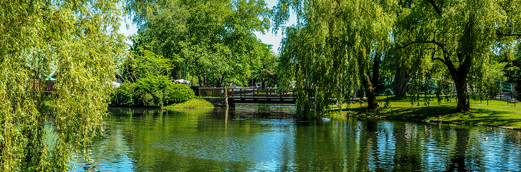A photograph of a bridge, waterway and trees in Toronto Island Park
